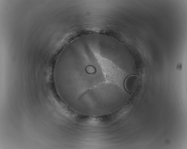 X0000112970656200909031046