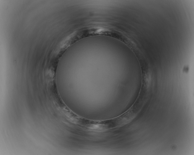 X0000112970657200909031046