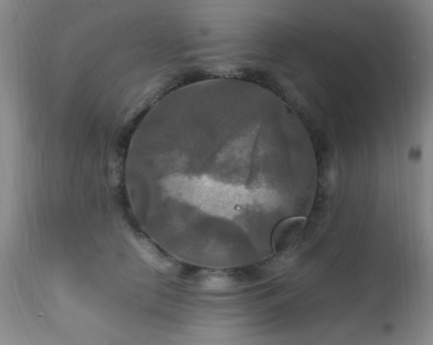 X0000112970658200909031046