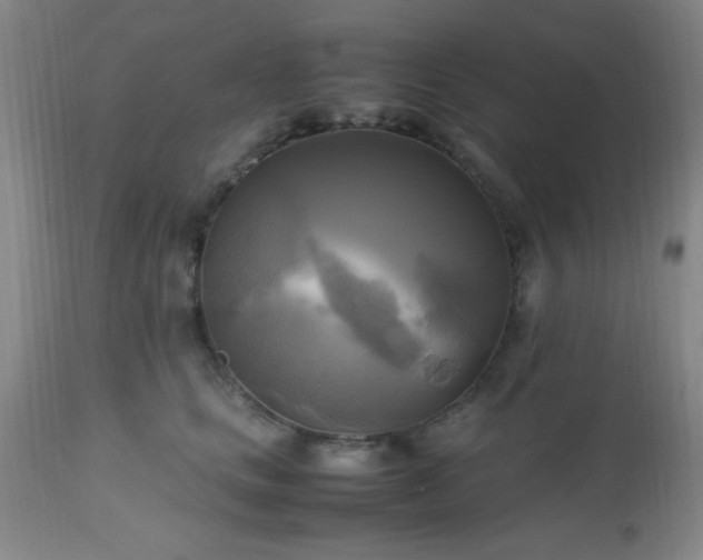 X0000112970661200909031047