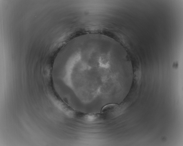 X0000112970662200909031047