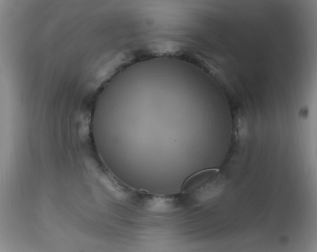 X0000112970664200909031047