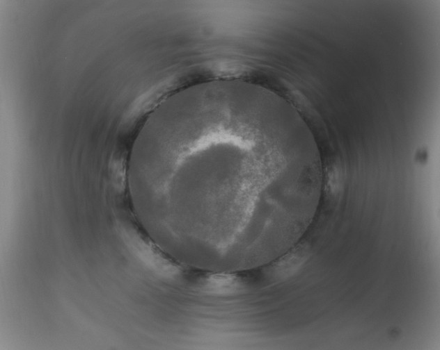 X0000112970666200909031047