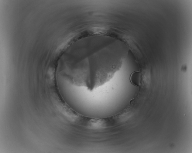 X0000112970667200909031047