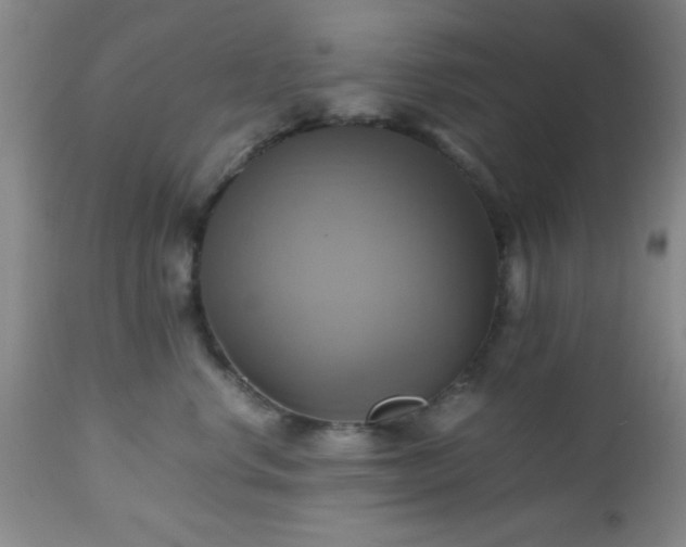 X0000112970668200909031047