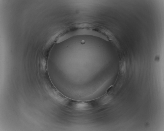 X0000112970669200909031047