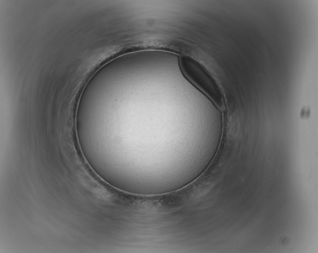 X0000112970673200909031046