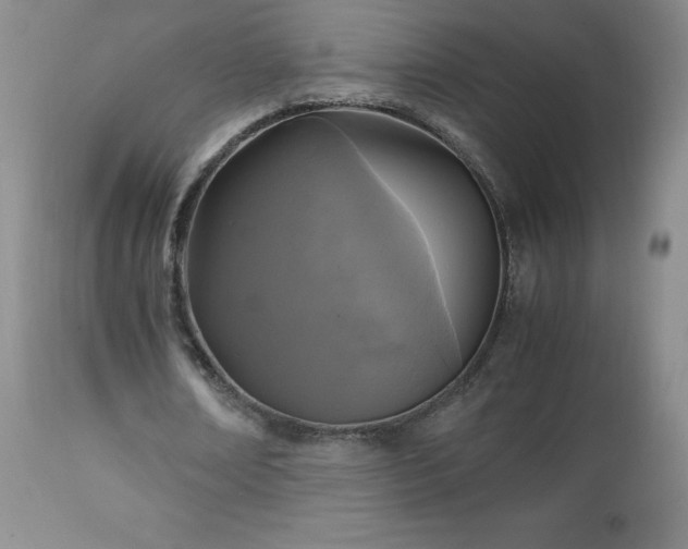 X0000112970674200909031046