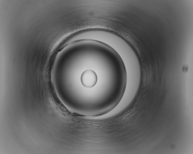 X0000112970676200909031046