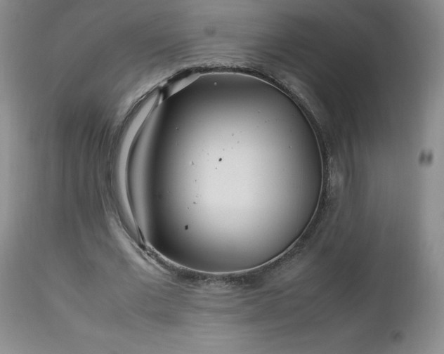 X0000112970677200909031046