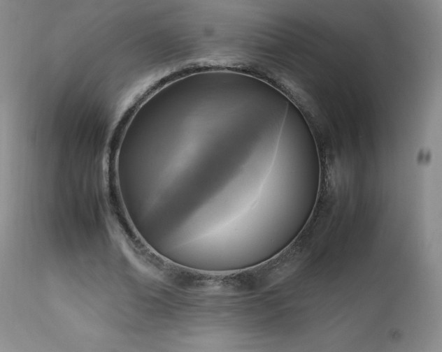 X0000112970678200909031046