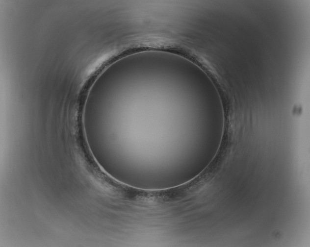 X0000112970679200909031046