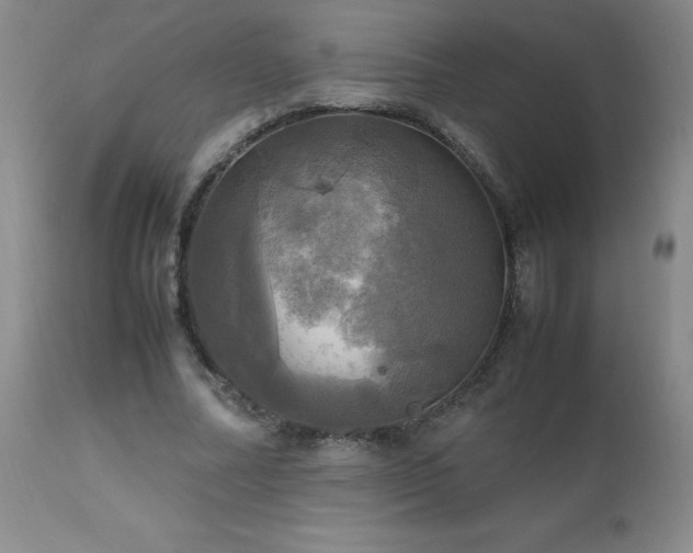 X0000112970682200909031046