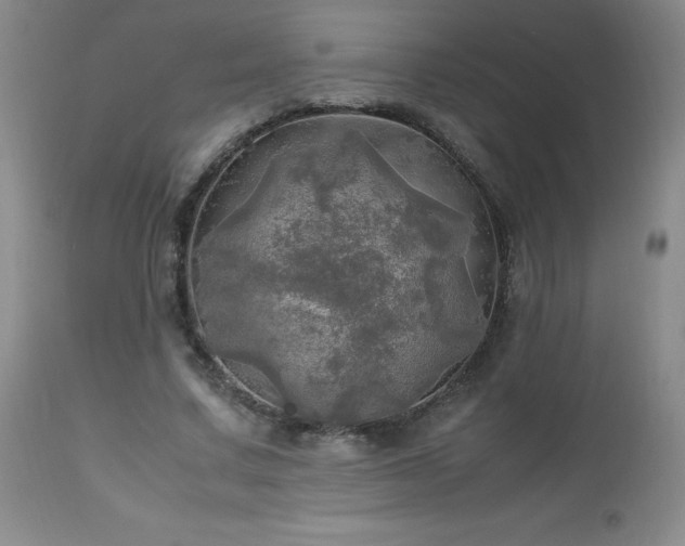 X0000112970683200909031046