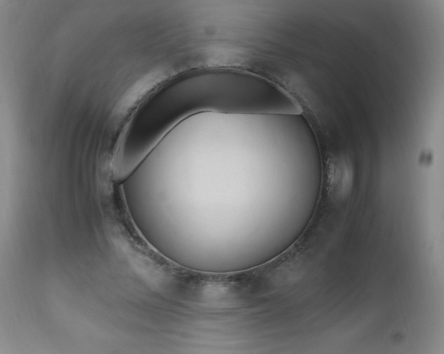 X0000112970684200909031046