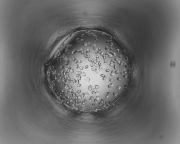 X0000112970685200909031046