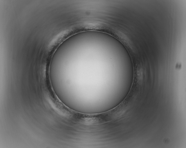 X0000112970686200909031046