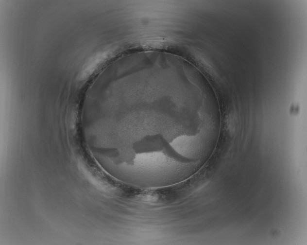 X0000112970687200909031046