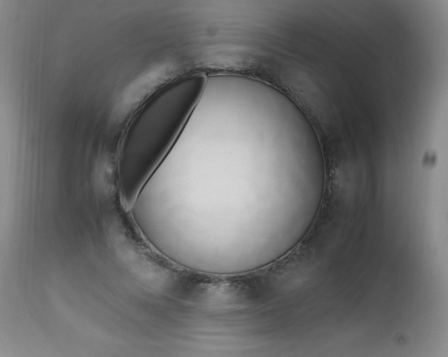 X0000112970688200909031046