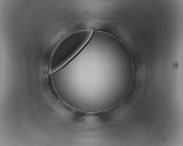 X0000112970689200909031046