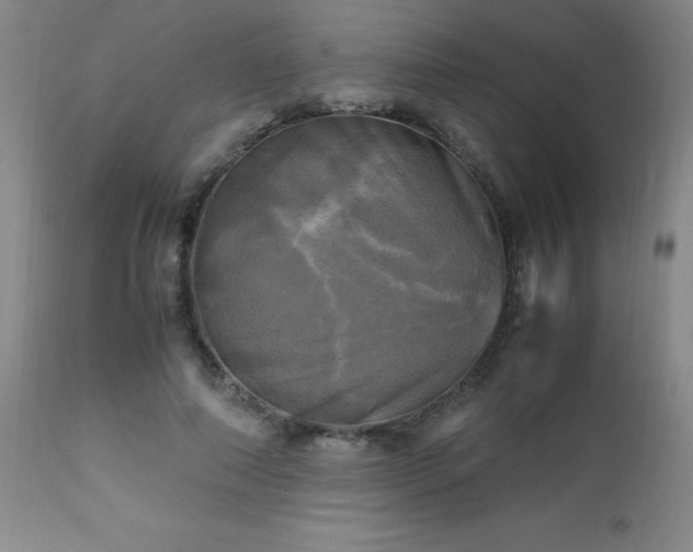 X0000112970690200909031046