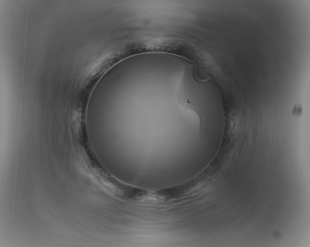 X0000112970691200909031046