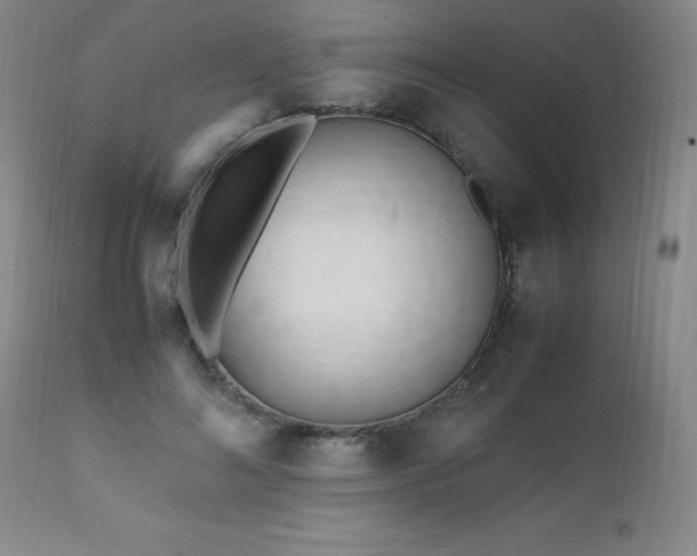 X0000112970692200909031046