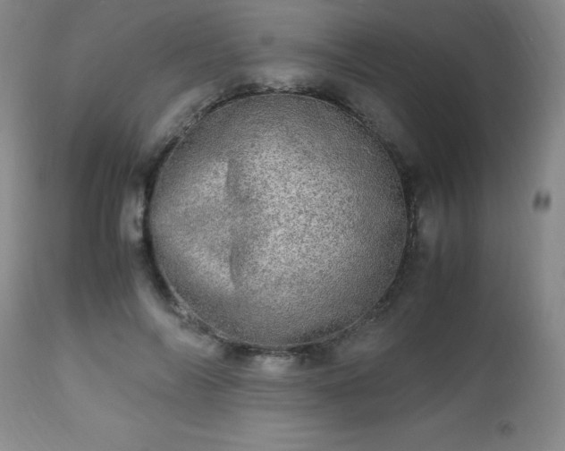 X0000112970694200909031046