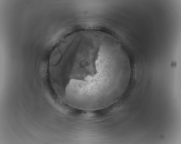 X0000112970695200909031046