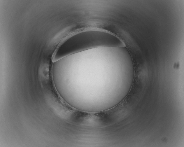 X0000112970696200909031046