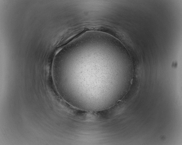 X0000112970697200909031046