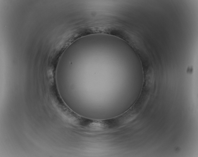 X0000112970699200909031046