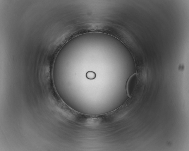 X0000112970700200909031046