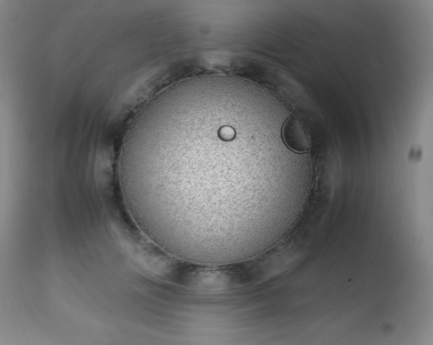 X0000112970702200909031046