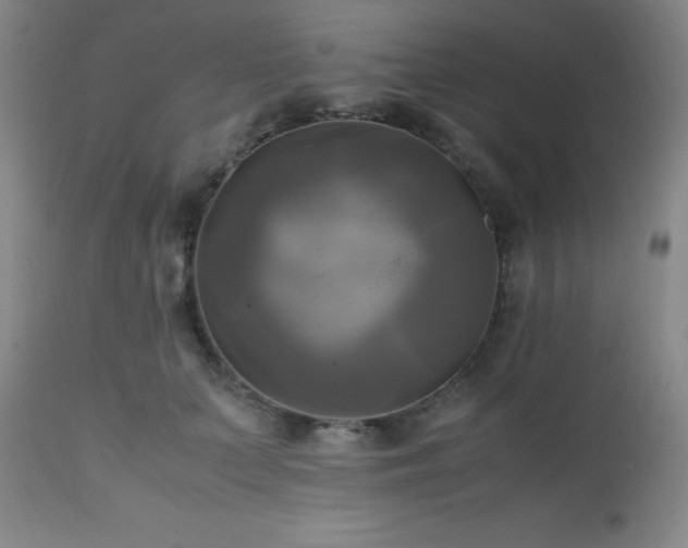 X0000112970703200909031046