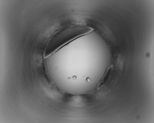 X0000112970704200909031046