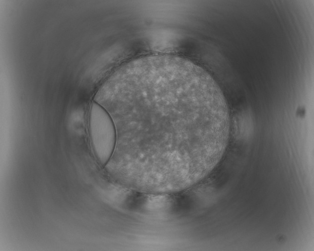 X0000112970705200909031046