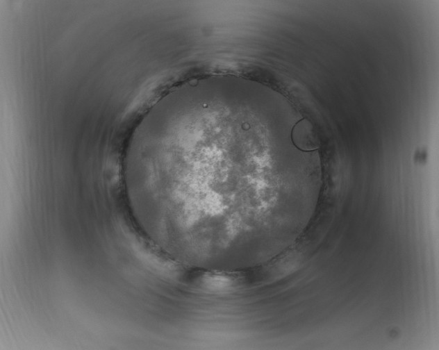 X0000112970706200909031046