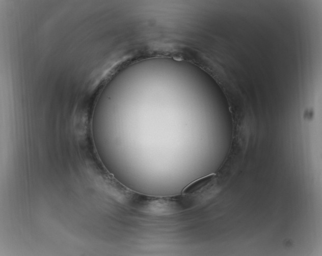 X0000112970708200909031046