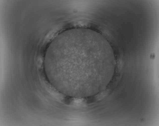 X0000112970709200909031046