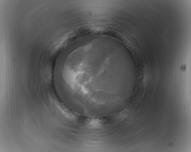 X0000112970710200909031046