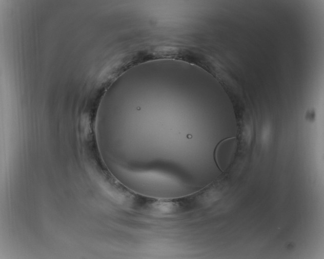 X0000112970711200909031046