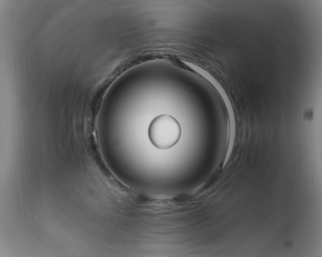 X0000112970712200909031045