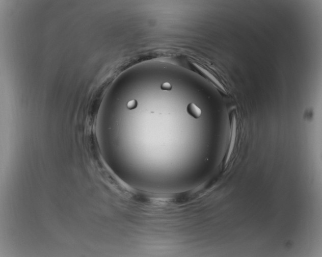 X0000112970713200909031045