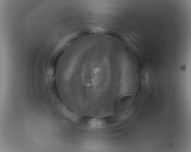 X0000112970714200909031045