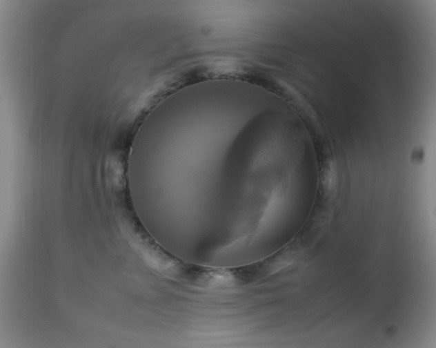 X0000112970715200909031045