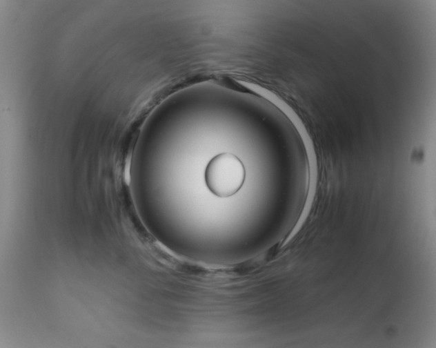 X0000112970716200909031045