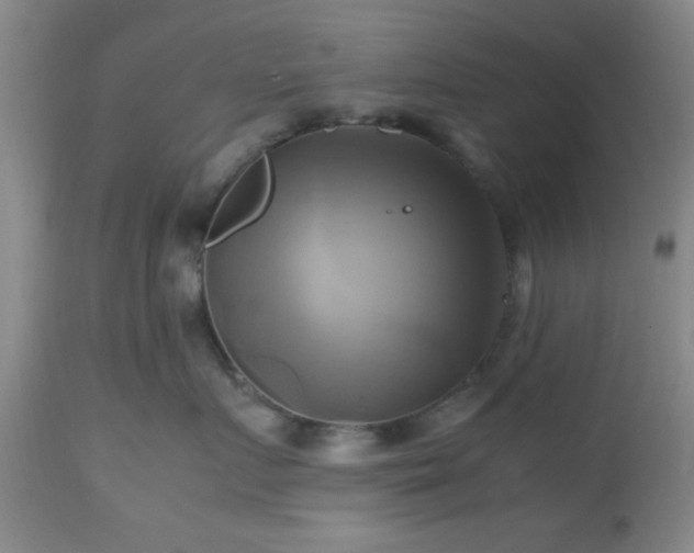 X0000112970719200909031045