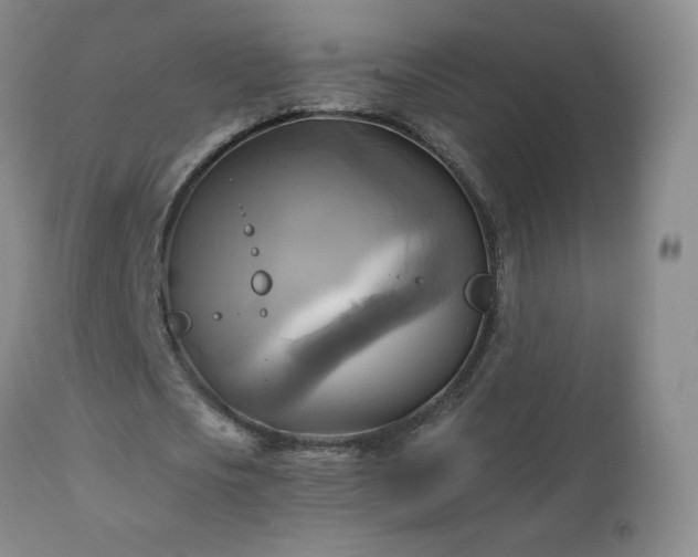 X0000112970721200909031045