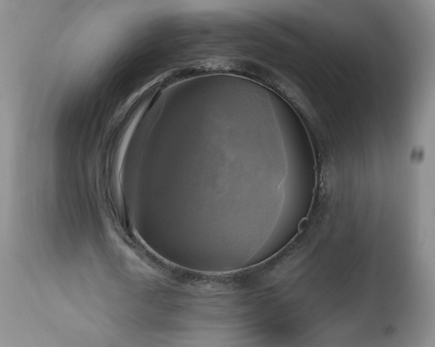 X0000112970722200909031045